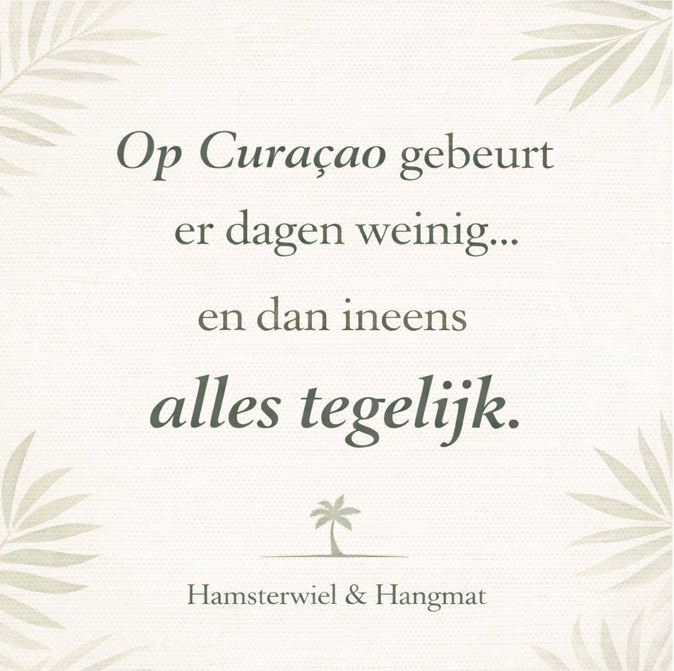 🌴 Klussen in het ritme van Curaçao 0f125d03 D7b2 4a56 8ded 6b17b0b2228a