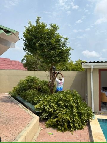 🌴 Klussen in het ritme van Curaçao Bad73478 E47b 4498 80f9 E9181ae32e3b