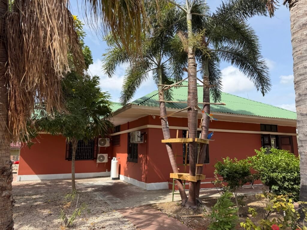 Ditjes, datjes en een beetje gedoe 🌴 Img 7408 1024x768