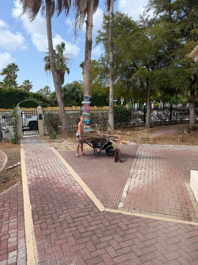 Img 7928 768x1024
