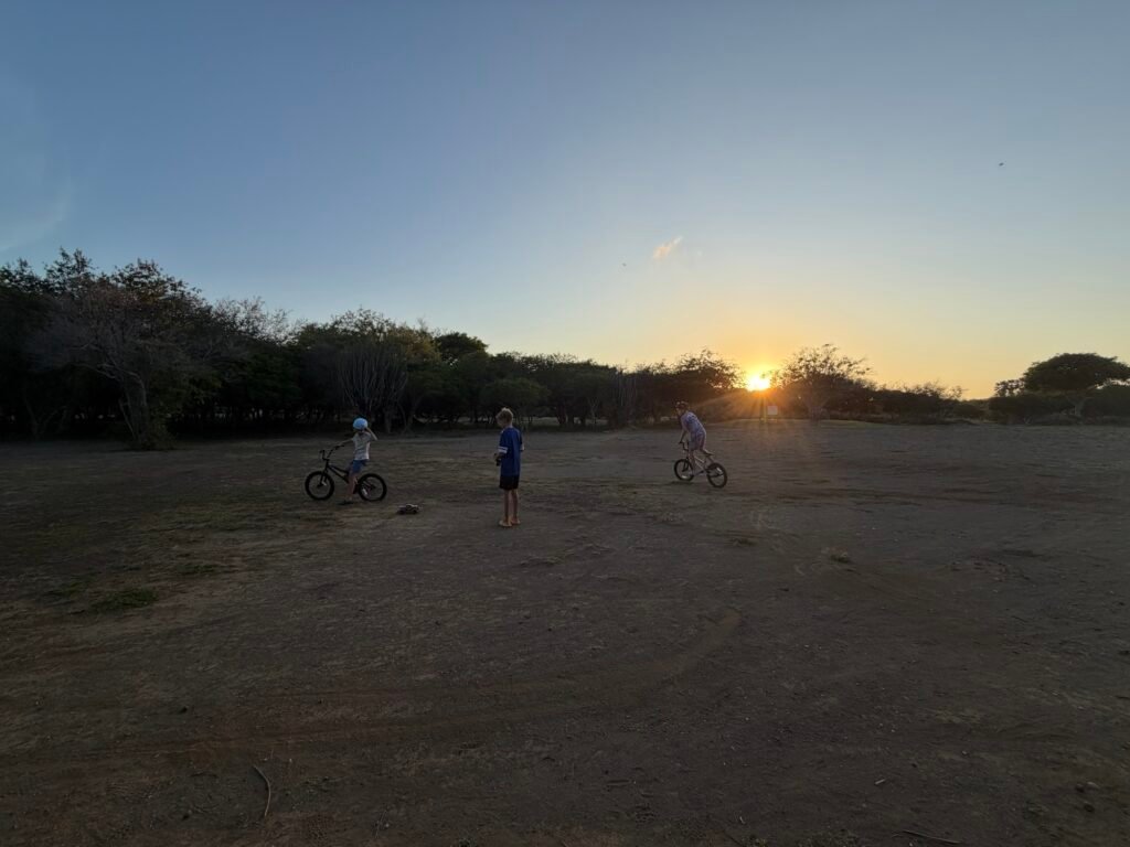 Img 8044 1024x768