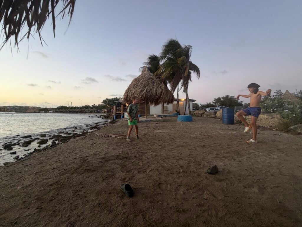 Img 8192 1024x768