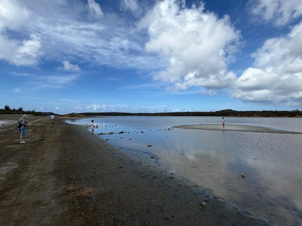 Img 8263 1024x768