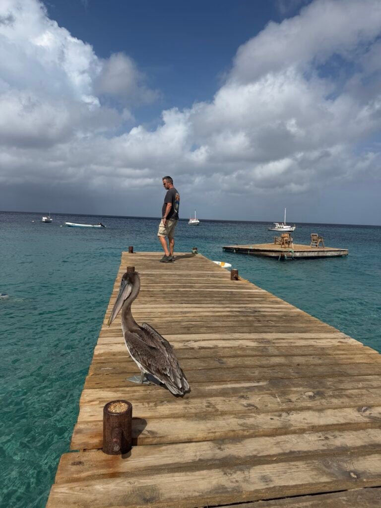 Img 8401 768x1024